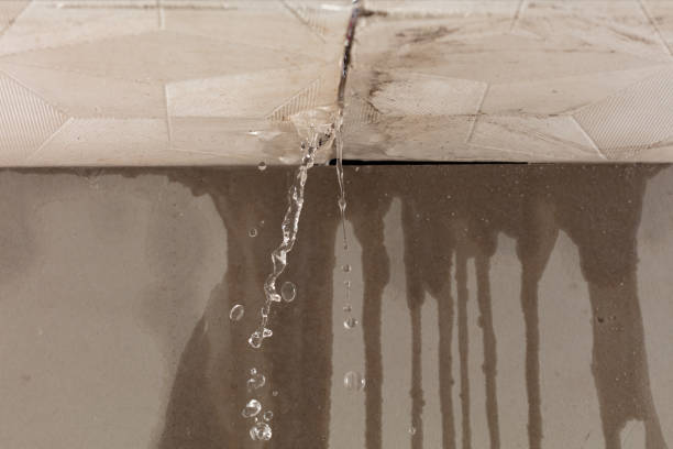 Professional Sewage Cleanup technician working in North Springfield, PA